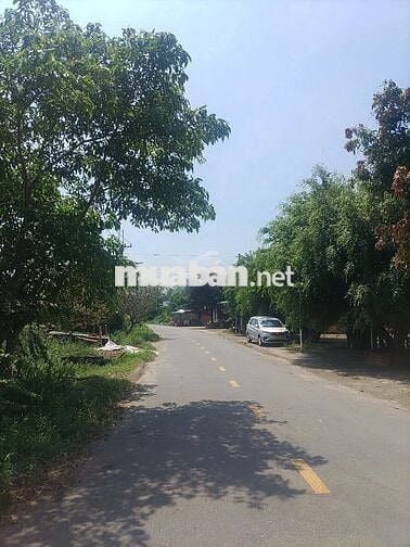 Bán lô đất + nhà 2 mặt tiền đường Cây Gõ – An Phú đang kd quán nước