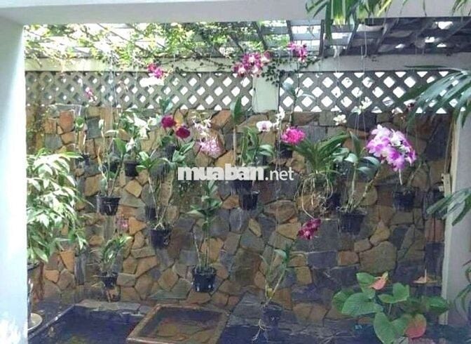 PHÚ NHUẬN GIÁP Q1, 100m2 ( 7 x 14 ) , 4 TẦNG , NHÀ ĐẸP, THOÁNG