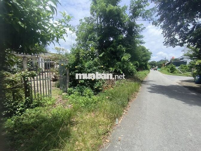 BÁN ĐẤT ĐẸP – MẶT TIỀN ĐƯỜNG SÔNG LU 2, BÌNH MỸ (HOÀ PHÚ) CỦ CHI