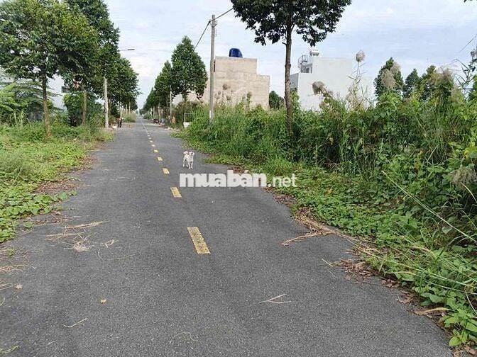 Đất nền Long Hậu Cần Giuộc. Mua bán ký gửi đầu tư và xây dựng