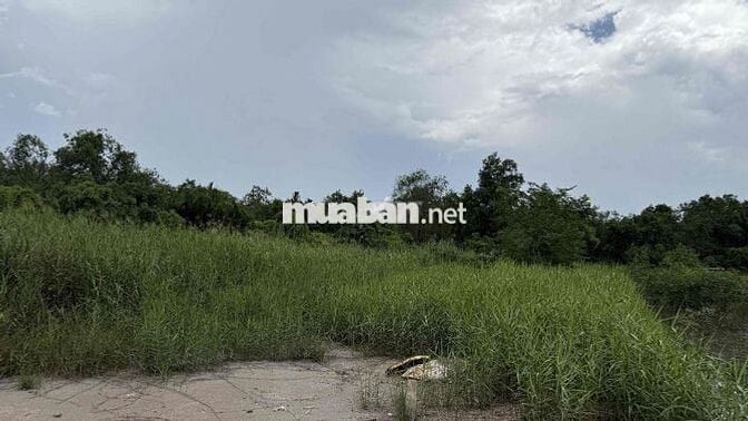 cẩn Bán 2 lô đất View sông Cần Giờ 5.000m2 và 3.300m2 giá 2tr/m2