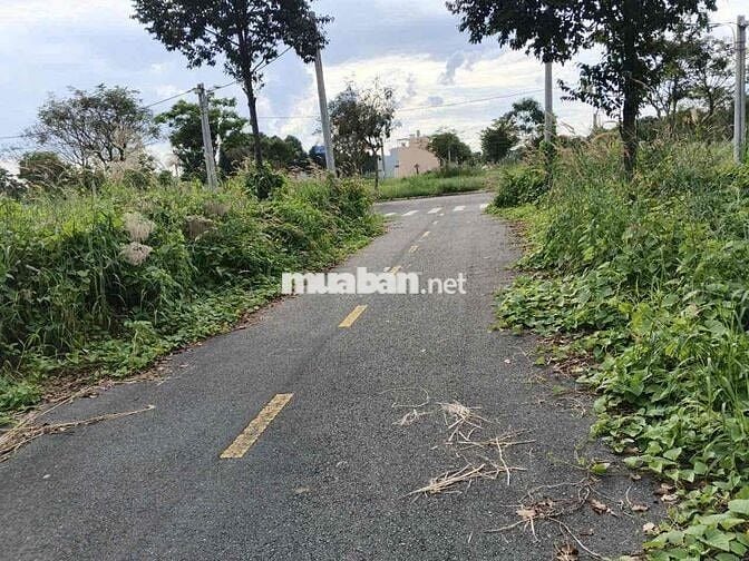 Đất nền Long Hậu Cần Giuộc. Mua bán ký gửi đầu tư và xây dựng