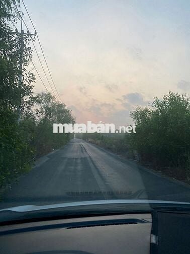 đất nền thổ cư sổ hồng riêng  diện tích 445m2 đất trảng bàng tây ninh