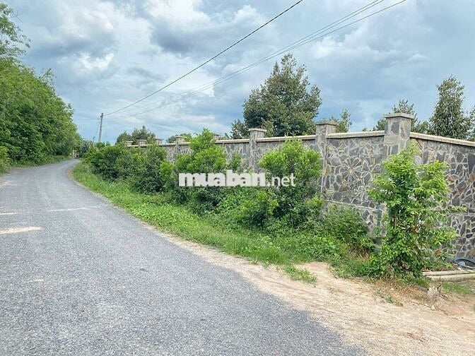 đất nền thổ cư sổ hồng riêng  diện tích 445m2 đất trảng bàng tây ninh