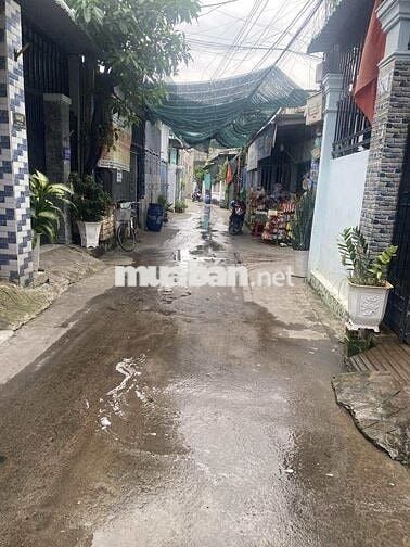 BÁN NHÀ CẤP 4, KP THẮNG LỢI 2 ,GẦN TRƯỜNG HỌC LÊ QUÝ ĐÔN.GIÁ 3,5 TỶ TL