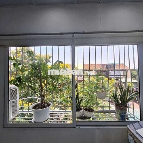 Chính Chủ Bán Nhà Tập Thể A1 Phố 8/3 View Triệu Đô