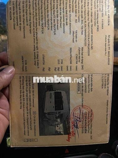 Ford Transit 2022 Tiêu chuẩn - 11 km