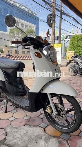 mio classico trắng ngọc trinh