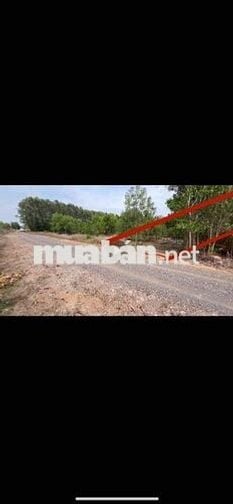 Mình chính chủ có lô đất Láng dài đất đỏ TPHCM . Dt 1000m2   ( 9,5x108