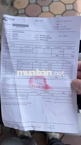 mio classico trắng ngọc trinh