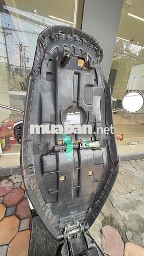 mio classico trắng ngọc trinh