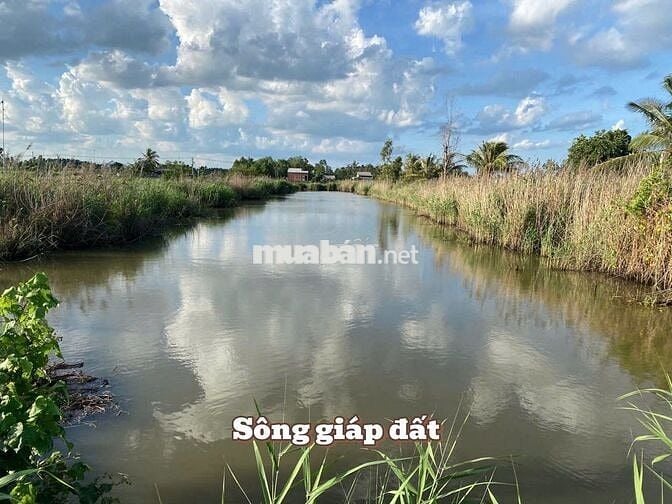 Bán đất mặt tiền sông Tân Phú Đông – 5.345m², giá 265tr/1.000m²