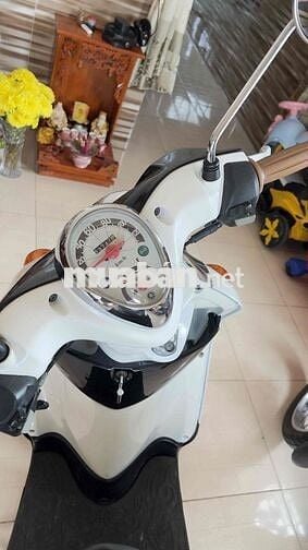 mio classico trắng ngọc trinh