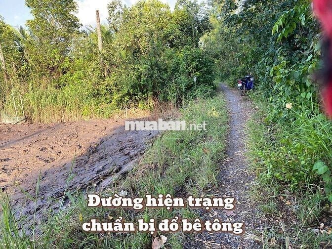 Bán đất mặt tiền sông Tân Phú Đông – 5.345m², giá 265tr/1.000m²