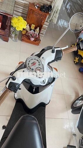 mio classico trắng ngọc trinh