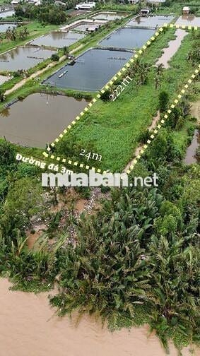 Bán đất mặt tiền sông Tân Phú Đông – 5.345m², giá 265tr/1.000m²