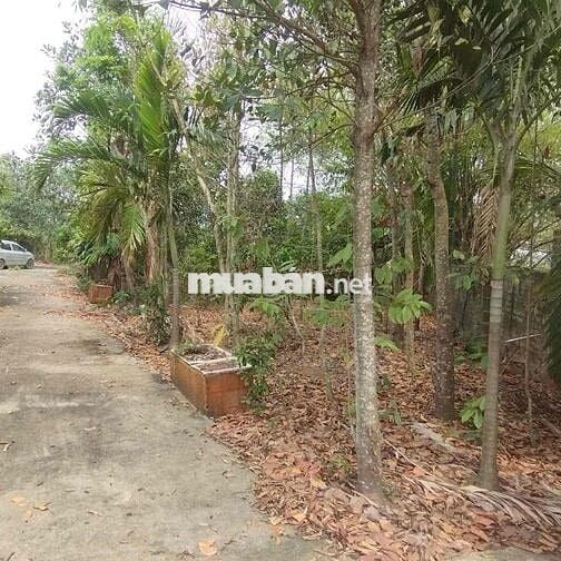 chính chủ đất thôn thống nhất , bắc giang co 300 m thổ cư có nhà