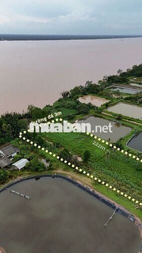 Bán đất mặt tiền sông Tân Phú Đông – 5.345m², giá 265tr/1.000m²