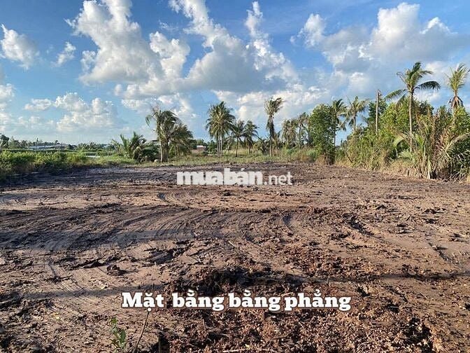 Bán đất mặt tiền sông Tân Phú Đông – 5.345m², giá 265tr/1.000m²