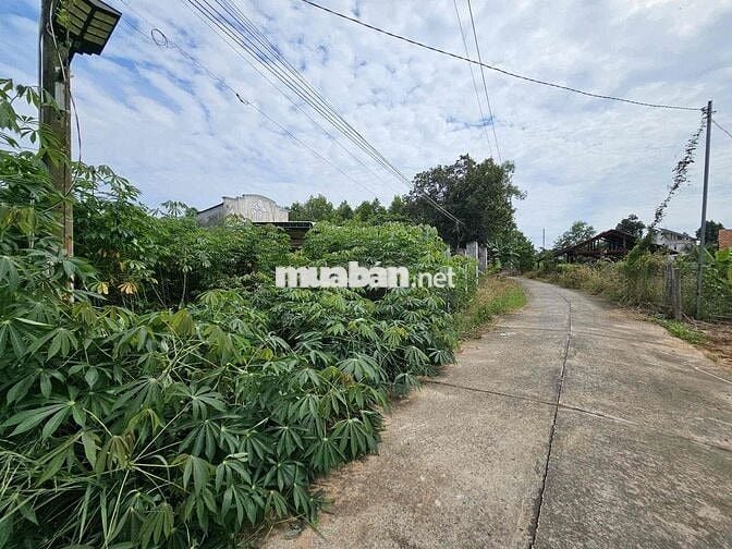 Ngân hàng thanh lý đất thổ cư, Đường xe hơi tại Láng Dài, BRVT