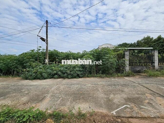 Ngân hàng thanh lý đất thổ cư, Đường xe hơi tại Láng Dài, BRVT