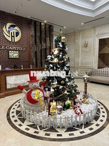 Căn Góc CC Cao Cấp 3PN 2WC Ntcb TT Đống Đa 96m2 Đẹp Full Tiện Ích 19Tr