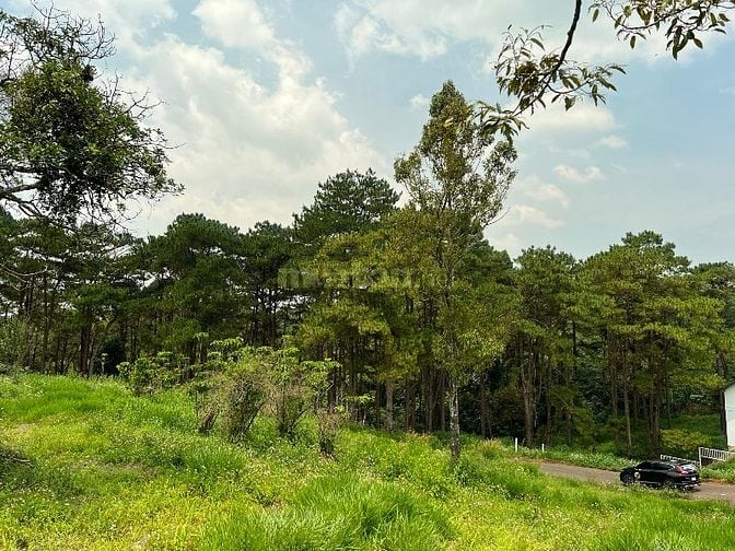  Bán nhanh 1.343m2 full thổ cư - 40x35 m - Trung Tâm Dambri TP Bảo Lộc