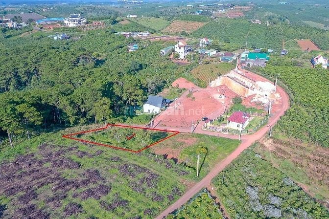  Bán nhanh 1.343m2 full thổ cư - 40x35 m - Trung Tâm Dambri TP Bảo Lộc