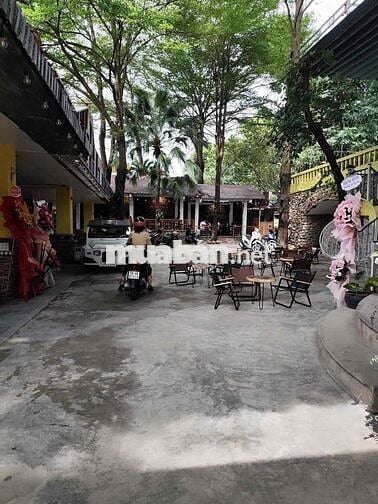 BIỆT THỰ 3 MẶT THOÁNG - KHU VÍP ĐẲNG CẤP NHẤT CỦA GIỚI THƯỢNG LƯU - NG