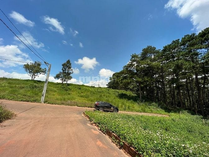  Bán nhanh 1.343m2 full thổ cư - 40x35 m - Trung Tâm Dambri TP Bảo Lộc