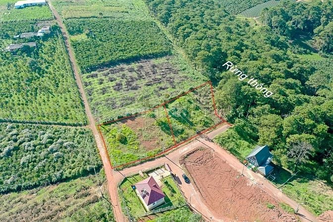  Bán nhanh 1.343m2 full thổ cư - 40x35 m - Trung Tâm Dambri TP Bảo Lộc