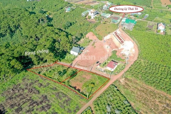  Bán nhanh 1.343m2 full thổ cư - 40x35 m - Trung Tâm Dambri TP Bảo Lộc