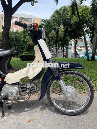 Cub 54 Dên Lớn BSTP