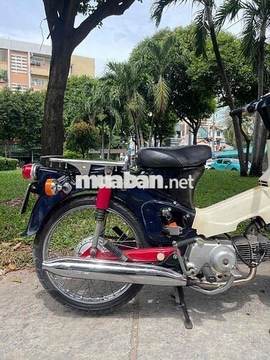 Cub 54 Dên Lớn BSTP