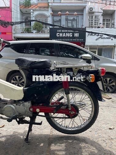 Cub 54 Dên Lớn BSTP