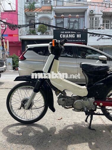 Cub 54 Dên Lớn BSTP