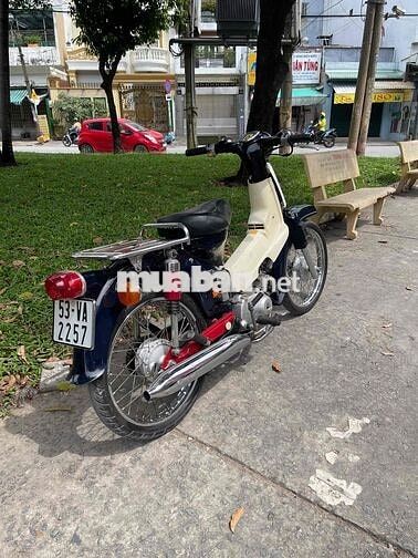 Cub 54 Dên Lớn BSTP