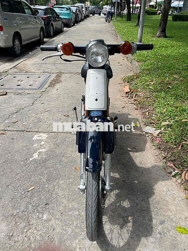 Cub 54 Dên Lớn BSTP