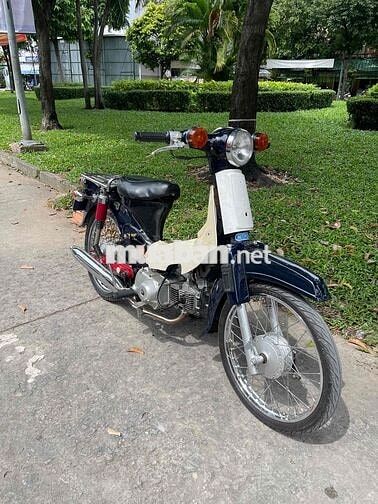 Cub 54 Dên Lớn BSTP