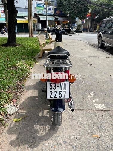 Cub 54 Dên Lớn BSTP