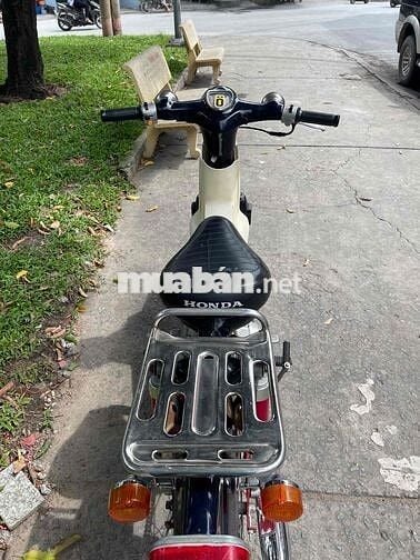 Cub 54 Dên Lớn BSTP