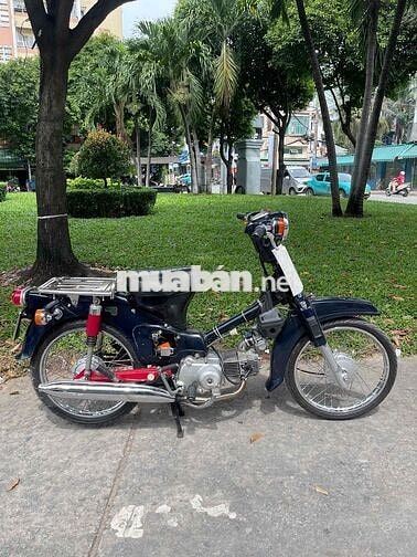 Cub 54 Dên Lớn BSTP