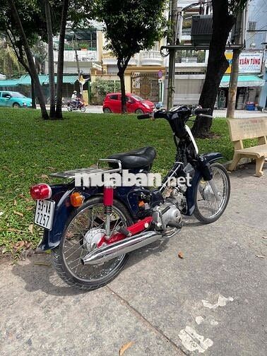 Cub 54 Dên Lớn BSTP