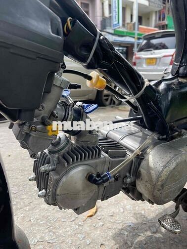 Cub 54 Dên Lớn BSTP