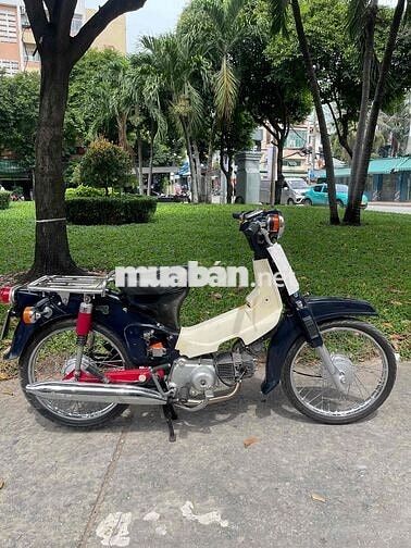 Cub 54 Dên Lớn BSTP