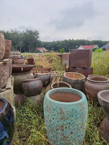 bên mình bán chậu trồng hoa cây kiểng, bon sai