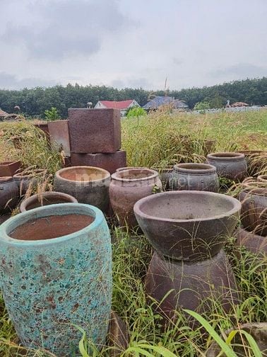 bên mình bán chậu trồng hoa cây kiểng, bon sai