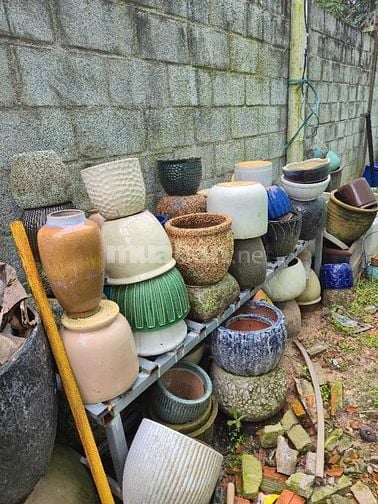 bên mình bán chậu trồng hoa cây kiểng, bon sai