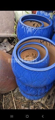 bên mình bán chậu trồng hoa cây kiểng, bon sai