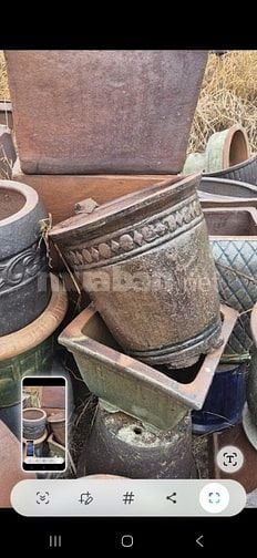 bên mình bán chậu trồng hoa cây kiểng, bon sai